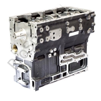 Блок двигателя в сборе (RG40024)