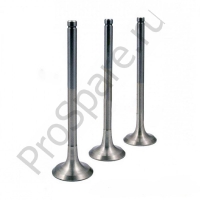 Клапан впускной TCD2013 (04905791)