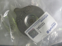 Крышка радиатора (24850021)